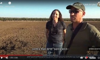 שמן זית משק הילמן בכאן 11