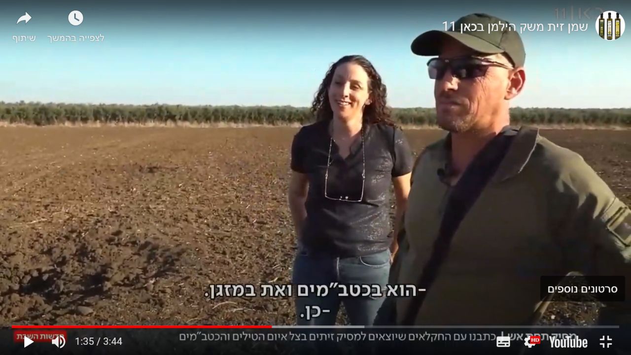 שמן זית משק הילמן בכאן 11